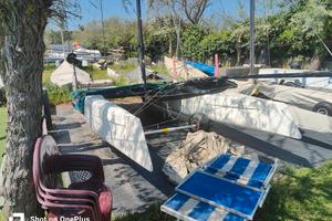 catamarano HC  F18 Wildcat