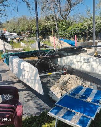 catamarano HC  F18 Wildcat