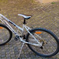 Bicicletta Bianchi Forza 
