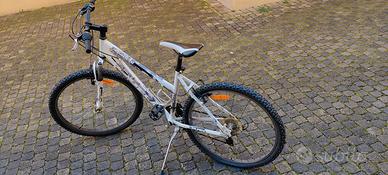 Bicicletta Bianchi Forza 