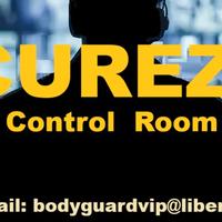 Autista personale / autista sicurezza (security