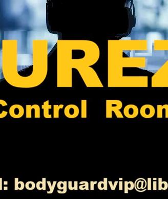 Autista personale / autista sicurezza (security