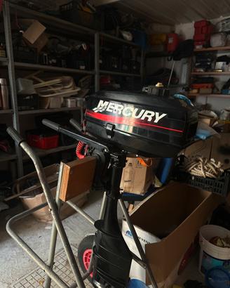Mercury 3.3 gambo lungo