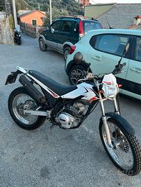 Beta Alp 125