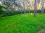 Immagine 17