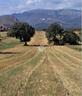 ter-residenziale-a-rocca-d-evandro