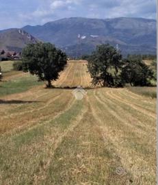 TER. RESIDENZIALE A ROCCA D'EVANDRO