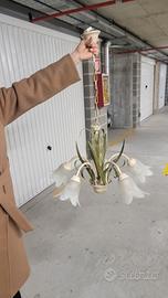 Lampadario 5 braccia 