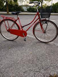 biciclette varie