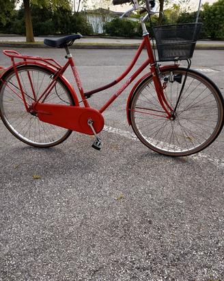 biciclette varie