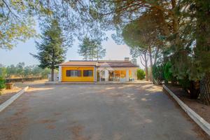 VILLA SINGOLA A GIOIA DEL COLLE