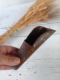 sassola