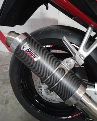 Scarico mivv gp carbonio per honda cbr 600 f 99/07