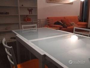 Dorsoduro Trilo contratto transitorio