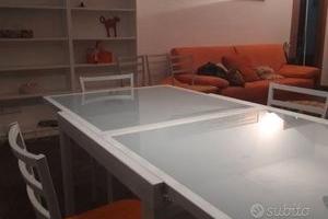 Dorsoduro Trilo contratto transitorio