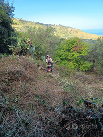 Terreno agricolo