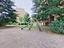 Immagine 29