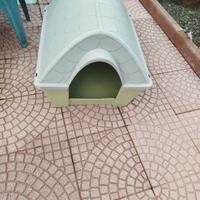 Cuccia per cane taglia media usata 