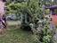 Immagine 14