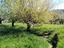 Immagine 15