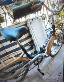 graziella Ceriz pieghevole ruote 20