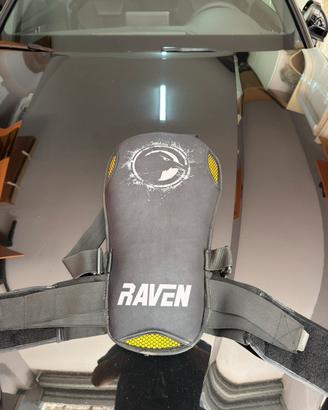 Para schiena Raven pagnus flex livello 2 tg S/M
