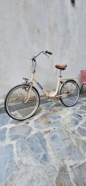 Graziella Doniselli originale 24"
