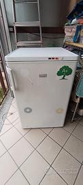 congelatore  Rex Electrolux 