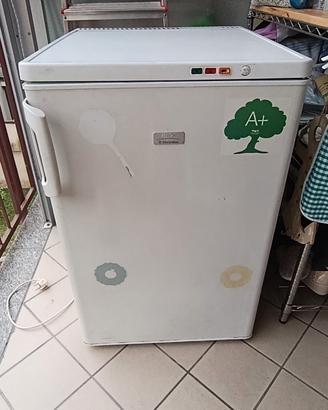 congelatore  Rex Electrolux 
