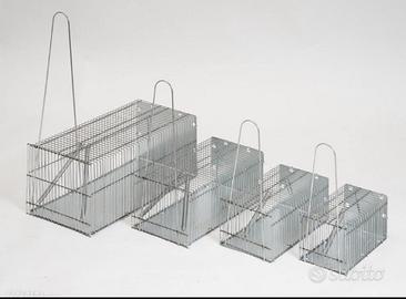trappole per topo / piccoli roditori
