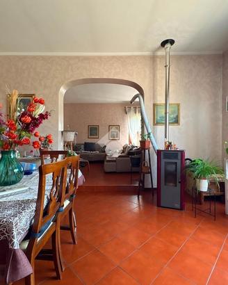 VILLA SINGOLA A SUZZARA