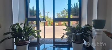 Giarre: accogliente, bella residenza per anziani