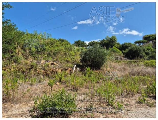 Terreno Agricolo Piombino [A4352557] - Vista 5