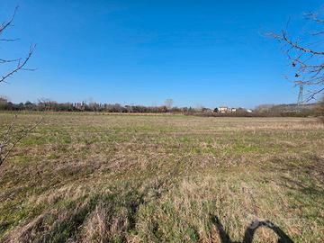 POLAZZO Terreno agricolo di più di 5000 mq