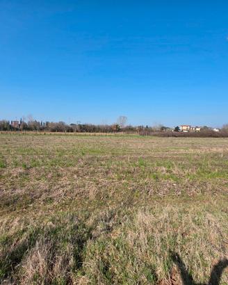 POLAZZO Terreno agricolo di più di 5000 mq