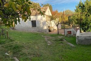 Terreno con 200 piante di olivo Chiaromonte PZ