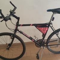 montanbike  molinari