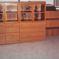 (MU3)libreria con casetti porta cartelle euro330