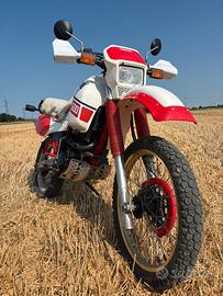 Tenere 600 1vj 1987