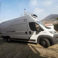 Fiat Ducato frigo