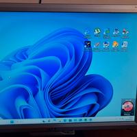 Monitor pc 19 pollici Acer