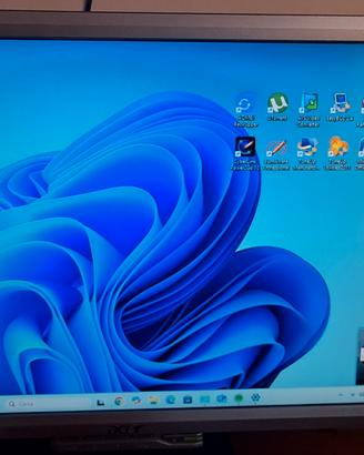 Monitor pc 19 pollici Acer