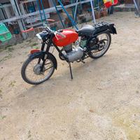 Gilera Altro modello - 1954