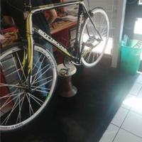 Bottecchia Duello ibrida