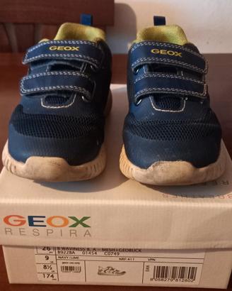 Scarpe geox bambino n 26