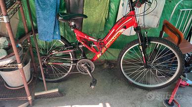 bici predator