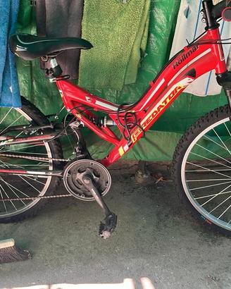 bici predator