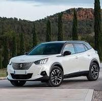 Ricambi Peugeot 2008 disponibili dal 2014 al 2022