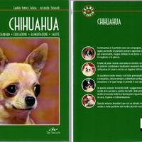 CANI DI RAZZA - CHIHUAHUA - FALSINA / TOMASELLI