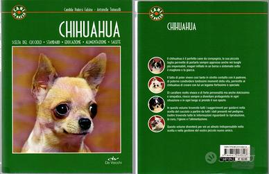 CANI DI RAZZA - CHIHUAHUA - FALSINA / TOMASELLI